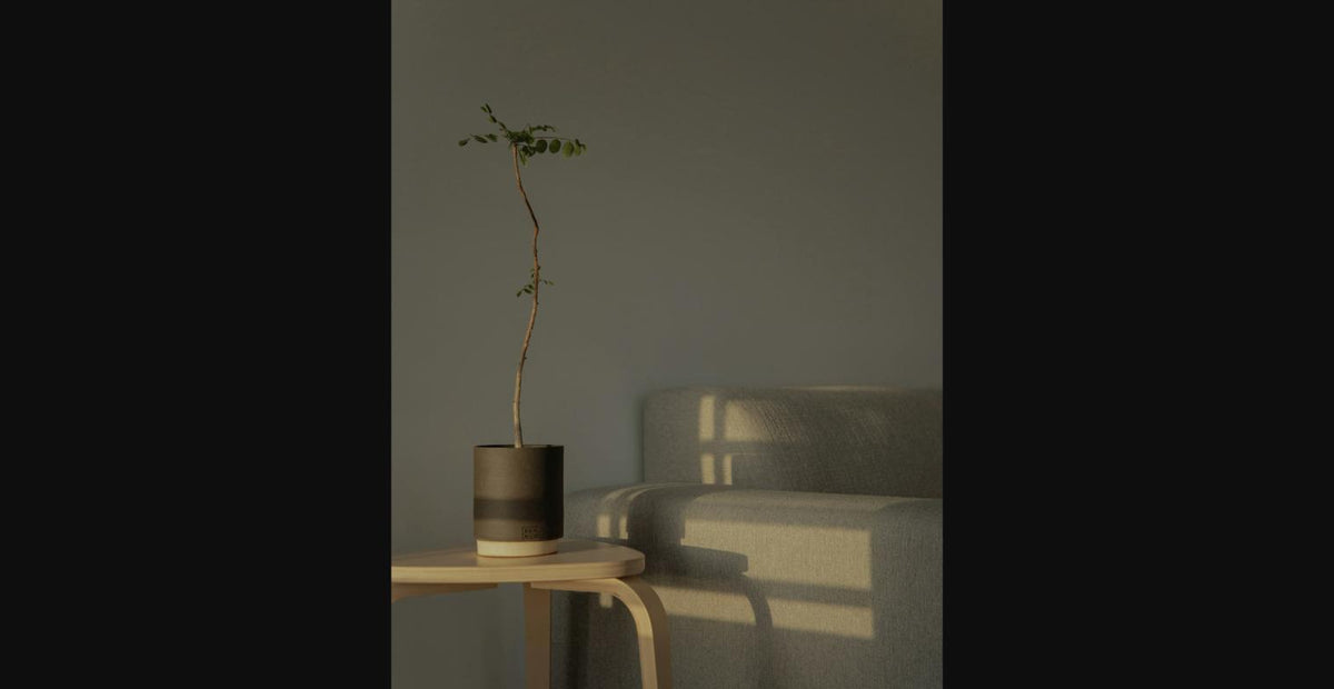 Keramik-Pflanztopf – Charcoal